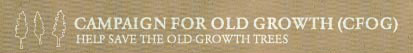 Campaign for Old Growth logo