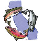 Salmonid Restoration Federation logo